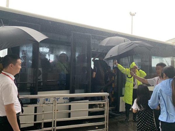 1565166647122025.png 雨中情1.png